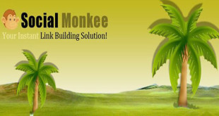 social monkee review